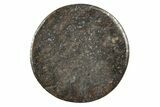 Chondrite Meteorite Cabochon ( g) #238199-1